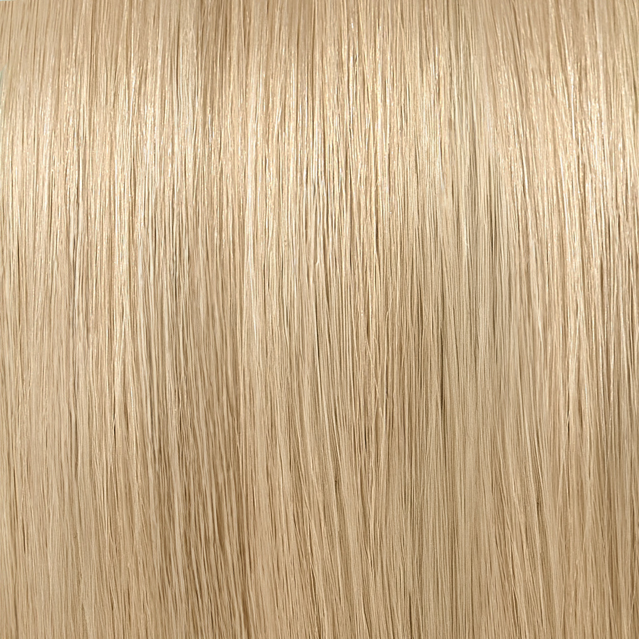 NINFAS GOLD LINE: #10P Lightest Blonde Platinum Remy Tape In